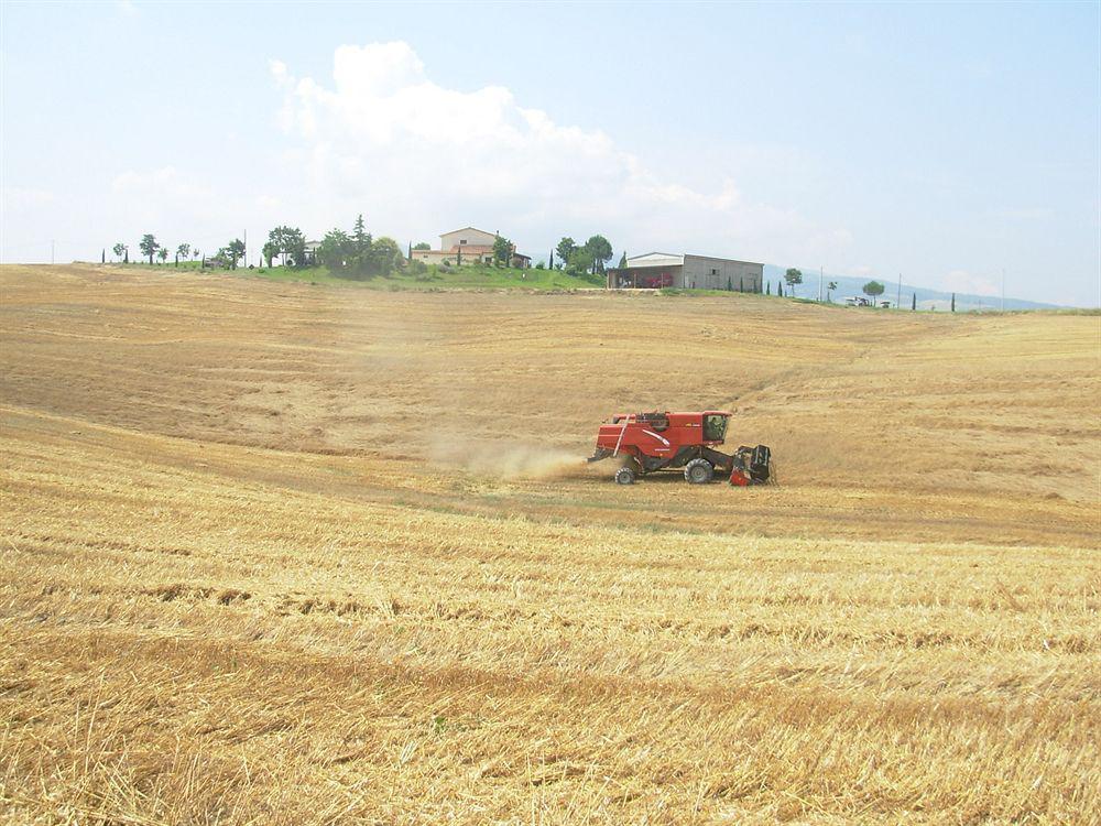 منزل الضيف Castiglione dʼOrcia  في Agriturismo Sant' Ansano المظهر الخارجي الصورة